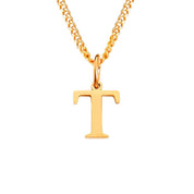 Halsketting goudkleurig T-hanger ketting detail